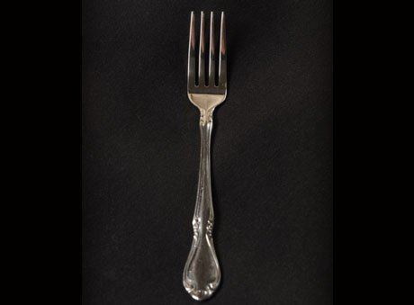 Illustra Dinner Fork