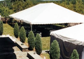 30' x 60' Frame Tent